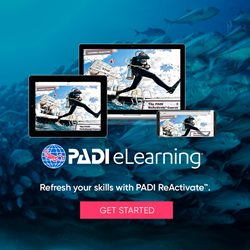 Reactivate Elearning